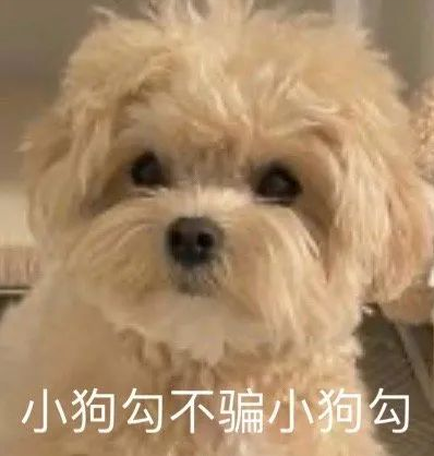 聊天交友软件下载
